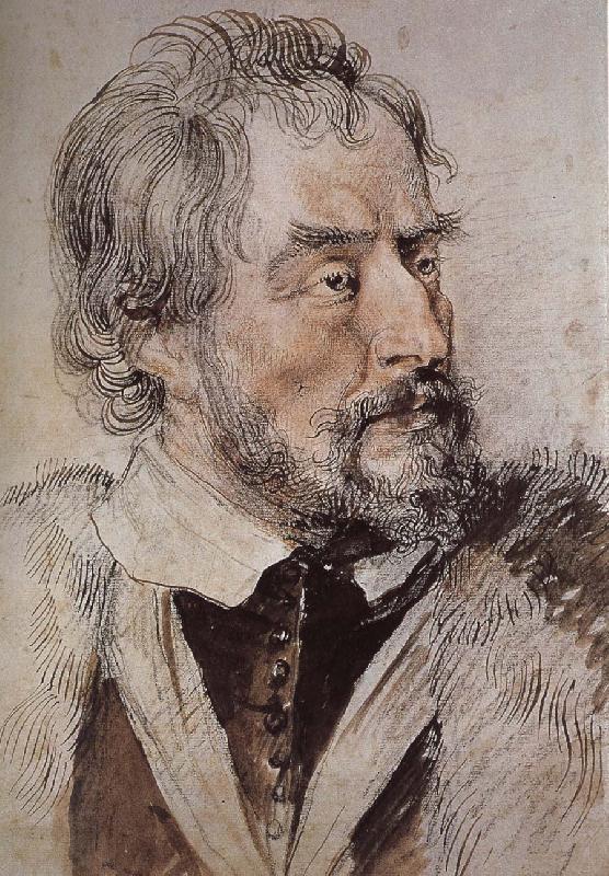 Peter Paul Rubens Portrait of thomas China oil painting art